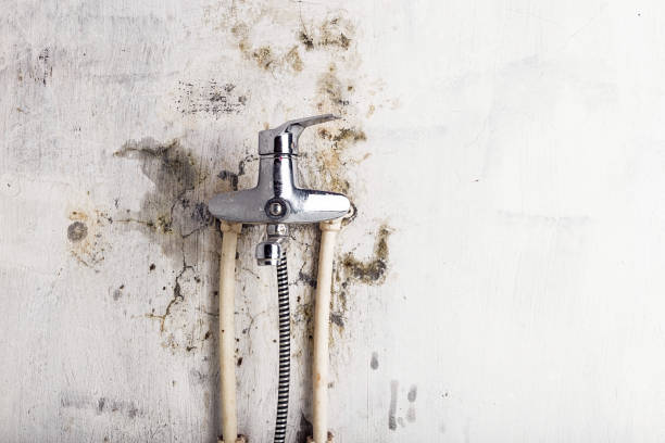 Best Mold Remediation  in Pacific City, OR