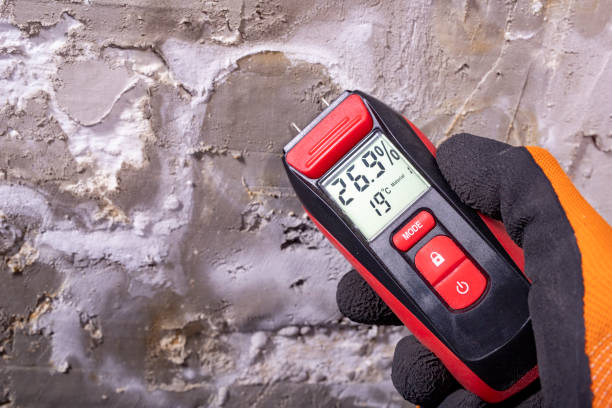 Home Mold Removal in Pacific City, OR
